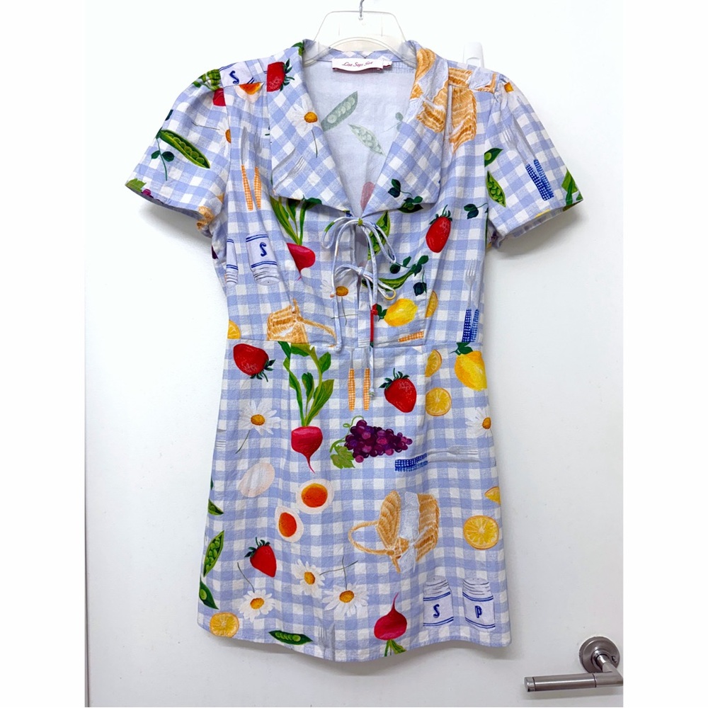 Lisa Says Gah Alexa Picnic Alfresco Mini Shirt Dress Blue Gingham Food L - Picture 2 of 16